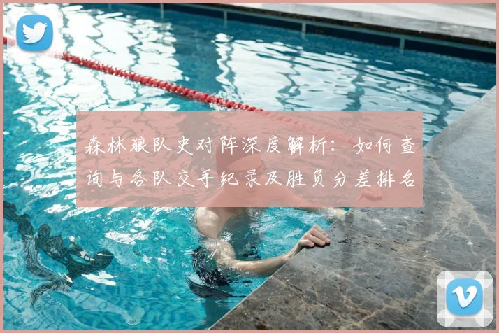 森林狼队史对阵深度解析：如何查询与各队交手纪录及胜负分差排名